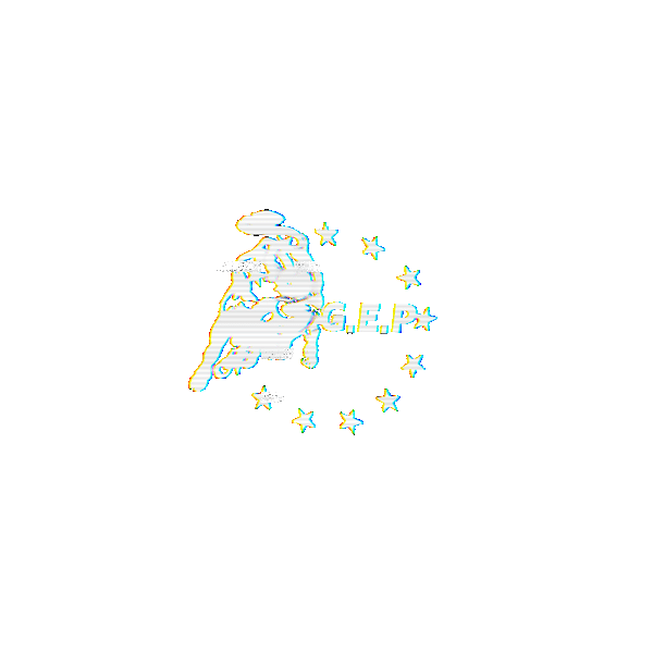 G.E.P